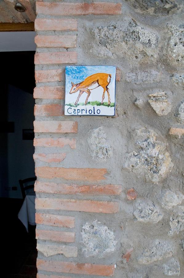 Agriturismo Fontesettimena Appartamento Rondine- Appartamento Capriolo โวลแตร์รา ภายนอก รูปภาพ